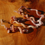 Spiral Worm Seashell - Natural Tenagodus anguinus Sea Shell Curiosity 4-6in for sale