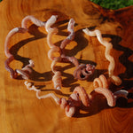 Spiral Worm Seashell - Natural Tenagodus anguinus Sea Shell Curiosity 4-6in for sale