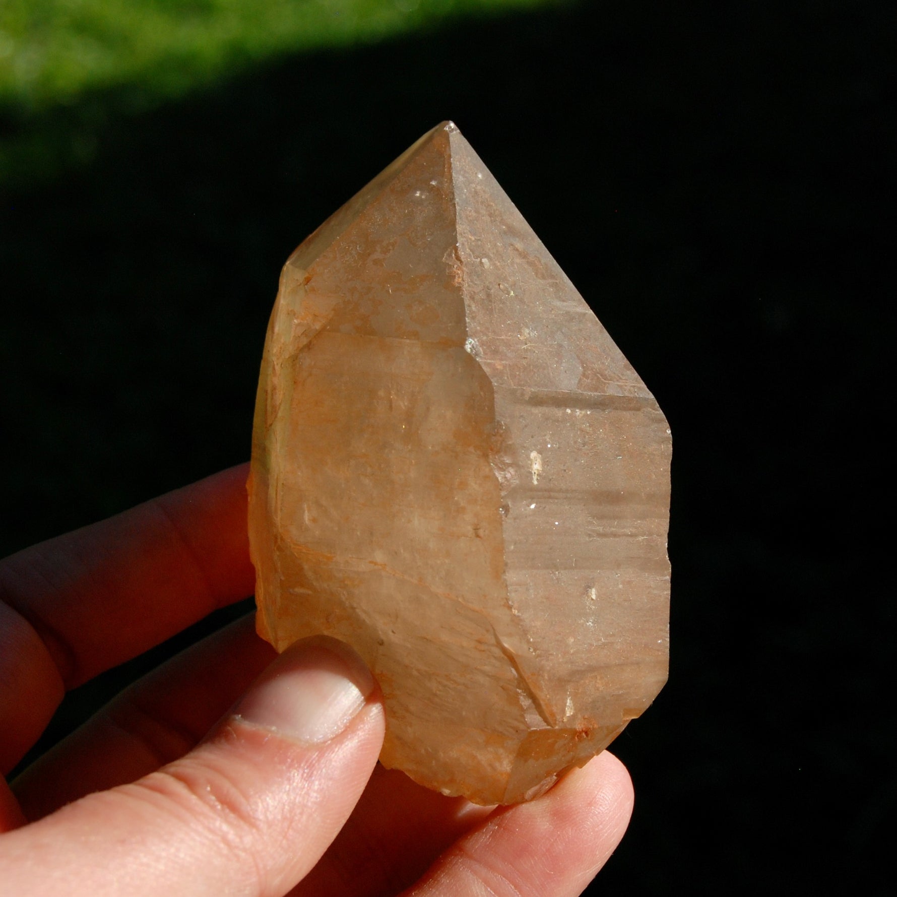 DT ET Record Keeper Pink Shadow Lemurian Seed Quartz Crystal Starbrary