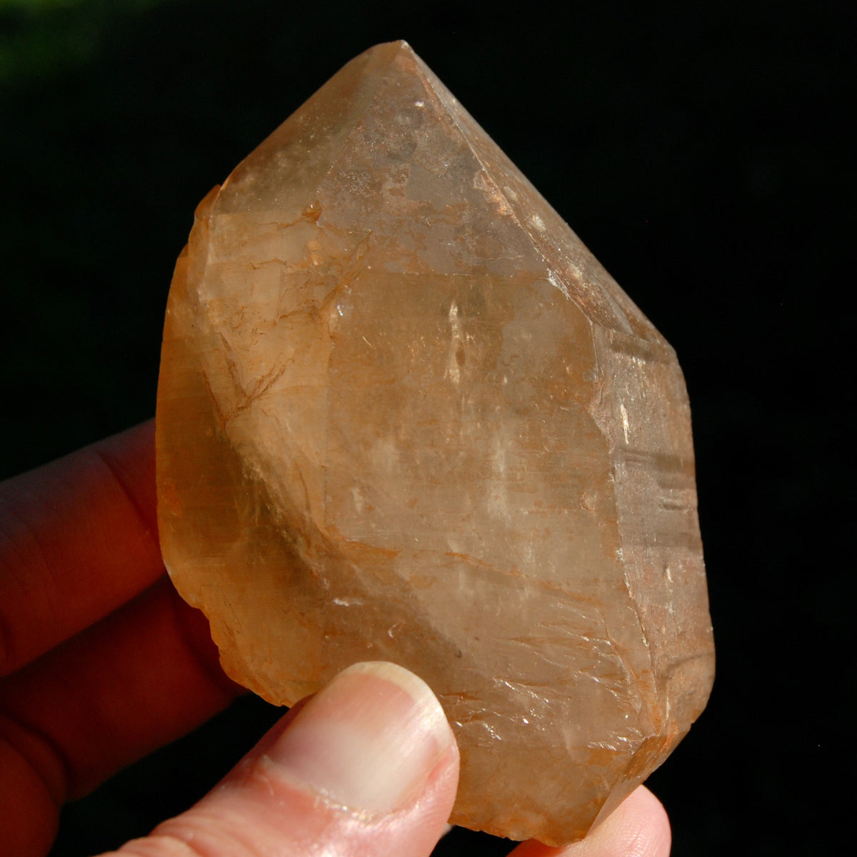 DT ET Record Keeper Pink Shadow Lemurian Seed Quartz Crystal Starbrary