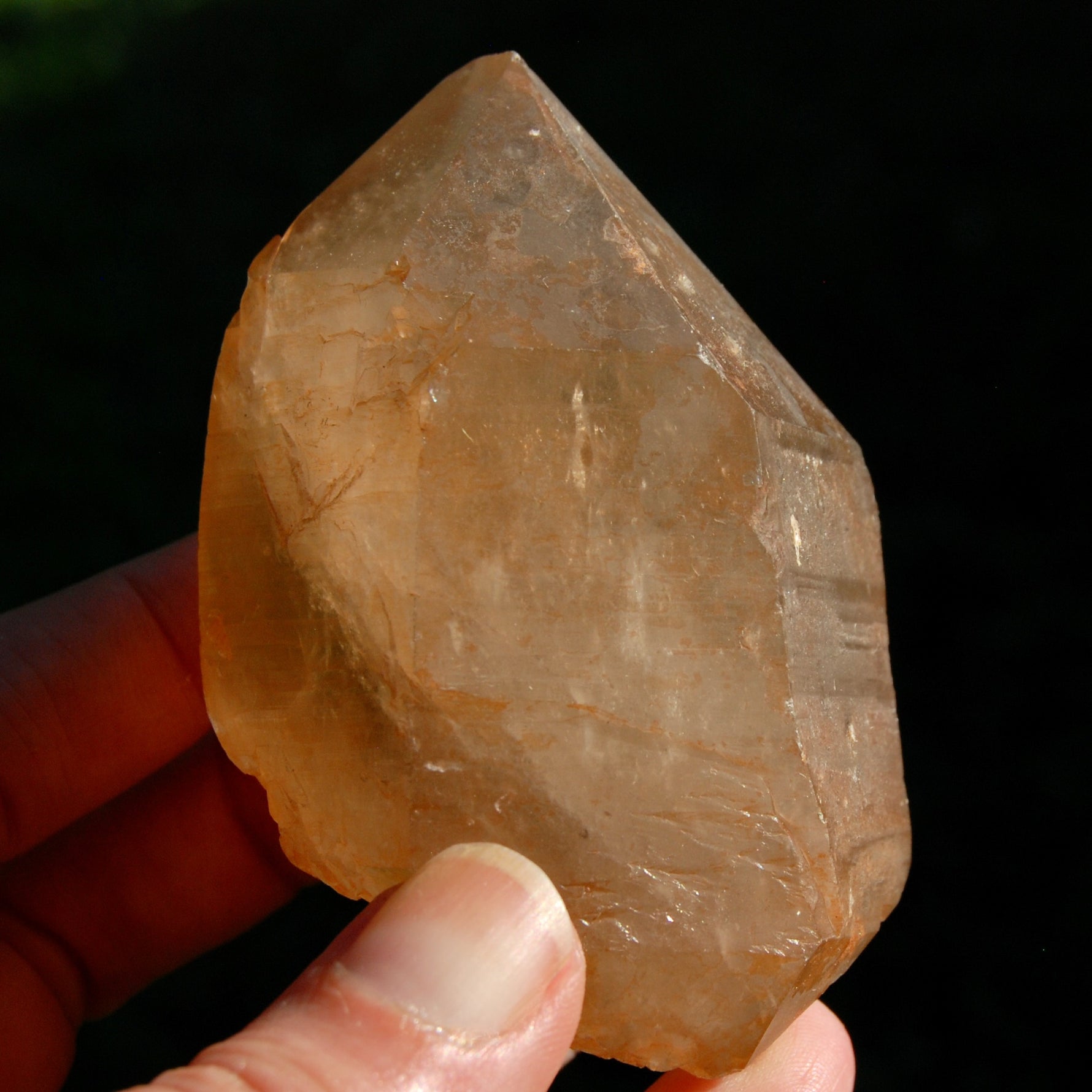 DT ET Record Keeper Pink Shadow Lemurian Seed Quartz Crystal Starbrary