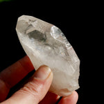 Tantric Twin Tabby Lemurian Quartz Crystal Starbrary, Tabular Devic Temple Lemurian, Brazil