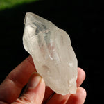 Tantric Twin Tabby Lemurian Quartz Crystal Starbrary, Tabular Devic Temple Lemurian, Brazil