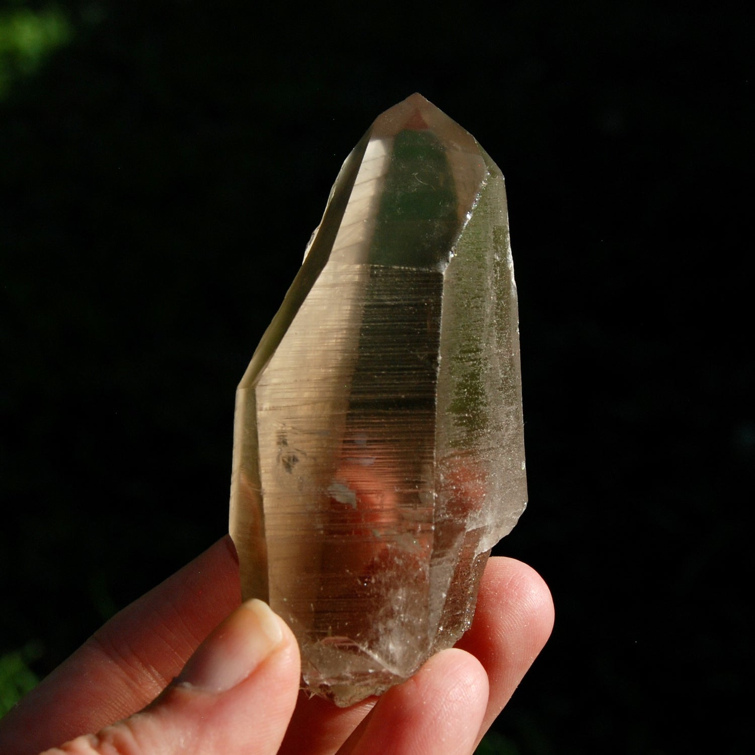 Smoky Lemurian Seed Quartz Crystal Starbrary