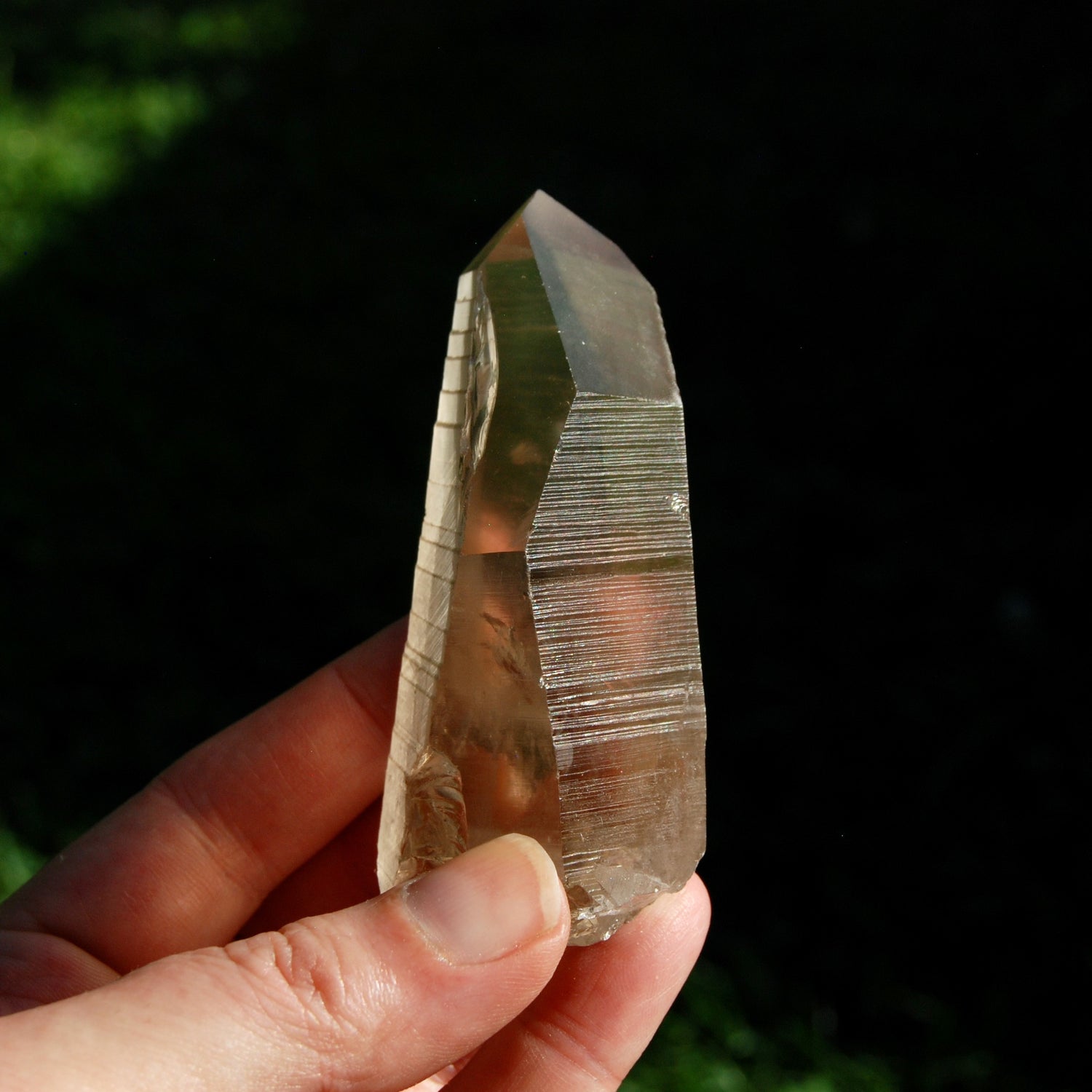 Smoky Lemurian Seed Quartz Crystal Starbrary