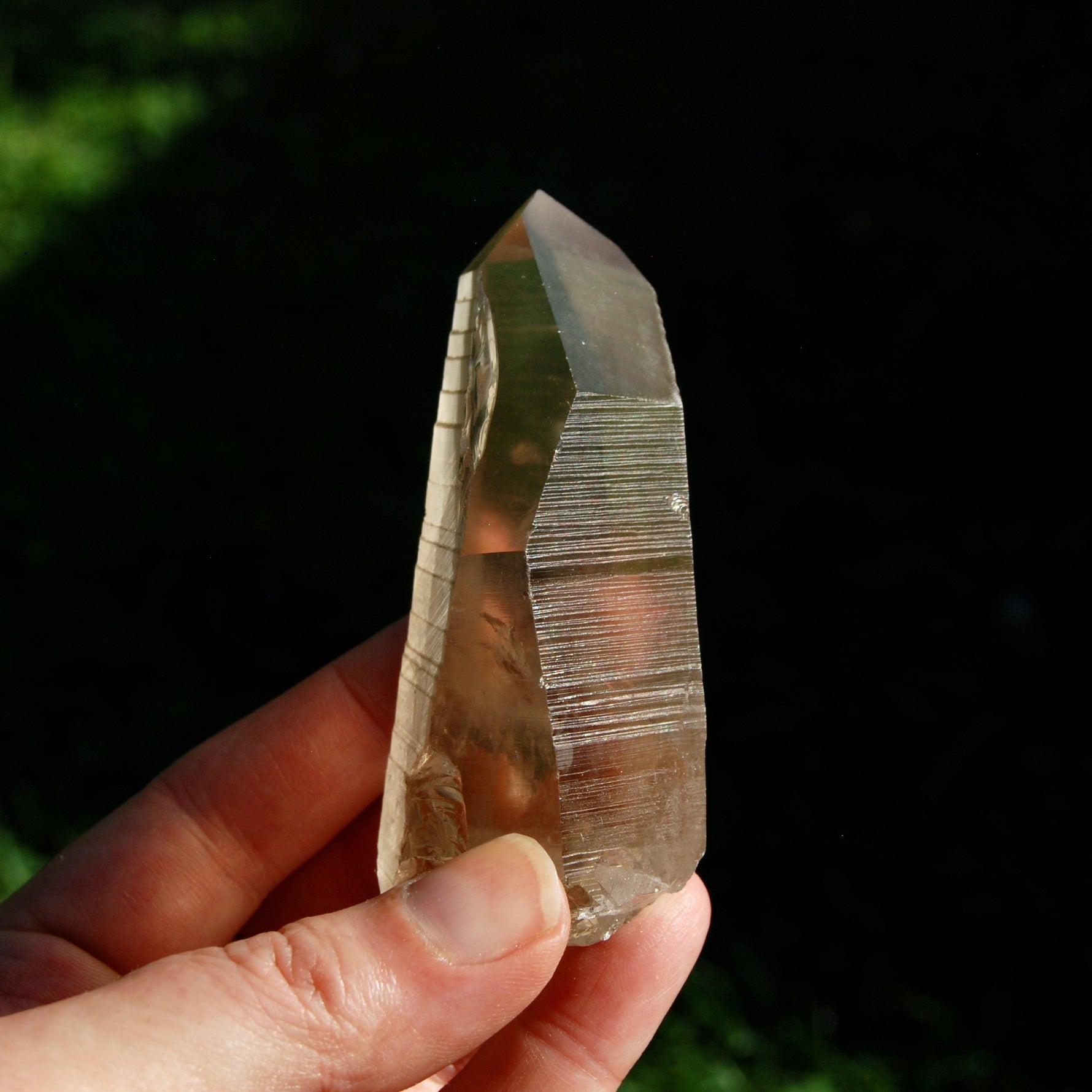 Smoky Lemurian Seed Quartz Crystal Starbrary