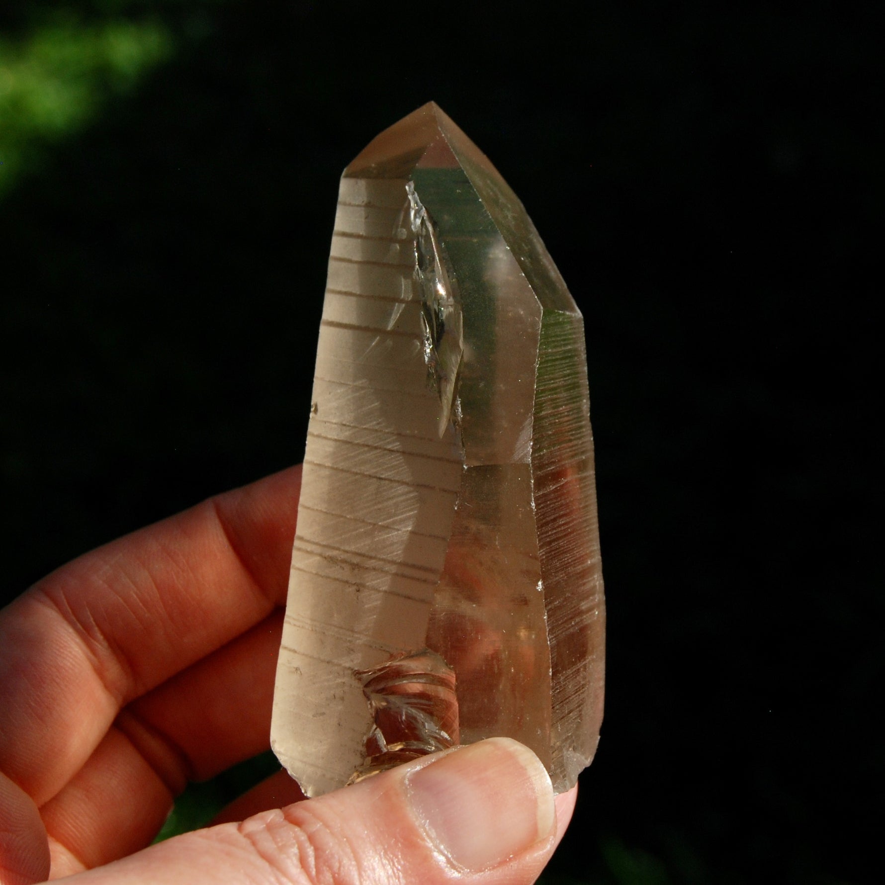 Smoky Lemurian Seed Quartz Crystal Starbrary