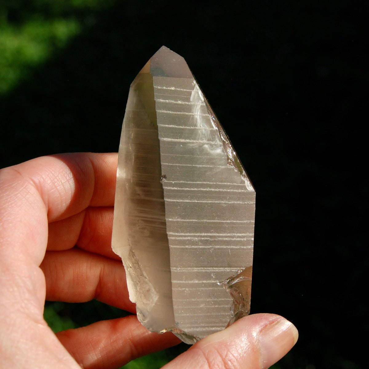 Smoky Lemurian Seed Quartz Crystal Starbrary