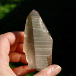 Smoky Lemurian Seed Quartz Crystal Starbrary