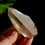 Smoky Lemurian Seed Quartz Crystal Starbrary