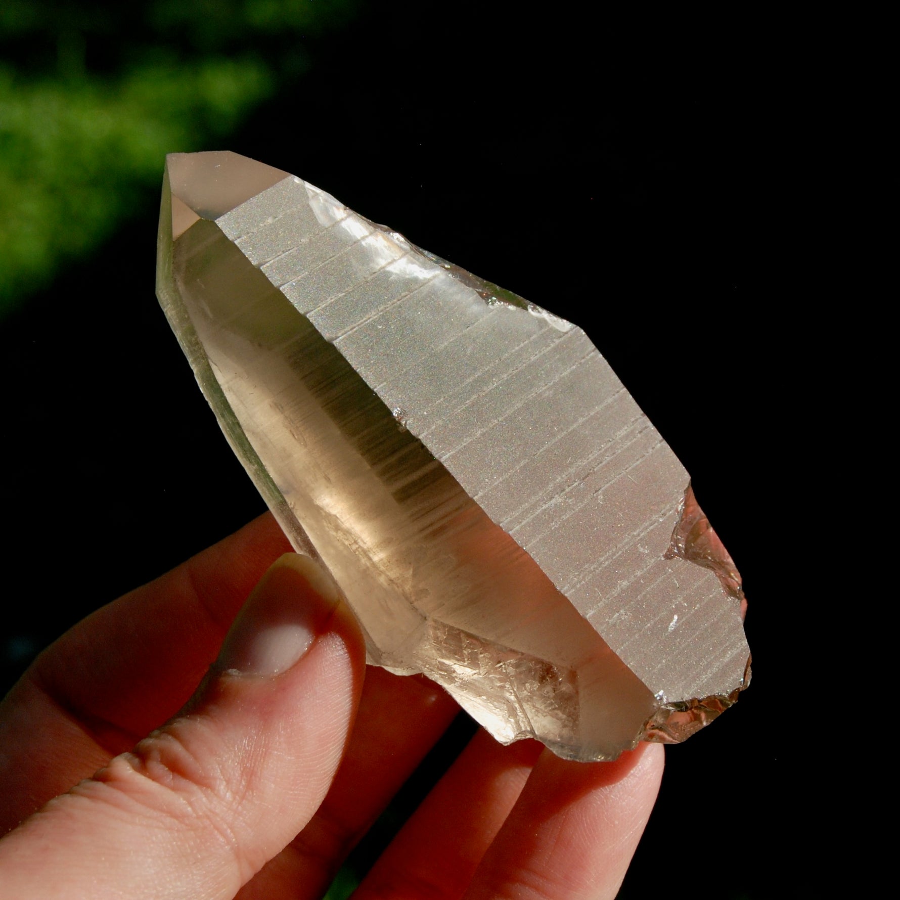 Smoky Lemurian Seed Quartz Crystal Starbrary