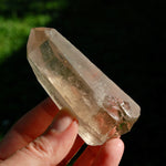 Smoky Lemurian Seed Quartz Crystal Starbrary