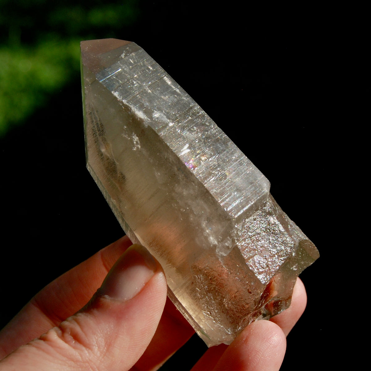 Smoky Lemurian Seed Quartz Crystal Starbrary