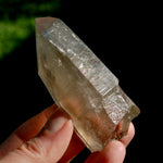 Smoky Lemurian Seed Quartz Crystal Starbrary