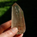 Smoky Lemurian Seed Quartz Crystal Starbrary