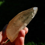 DT ET Trigonic Record Keeper Pink Shadow Smoky Lemurian Seed Quartz Crystal