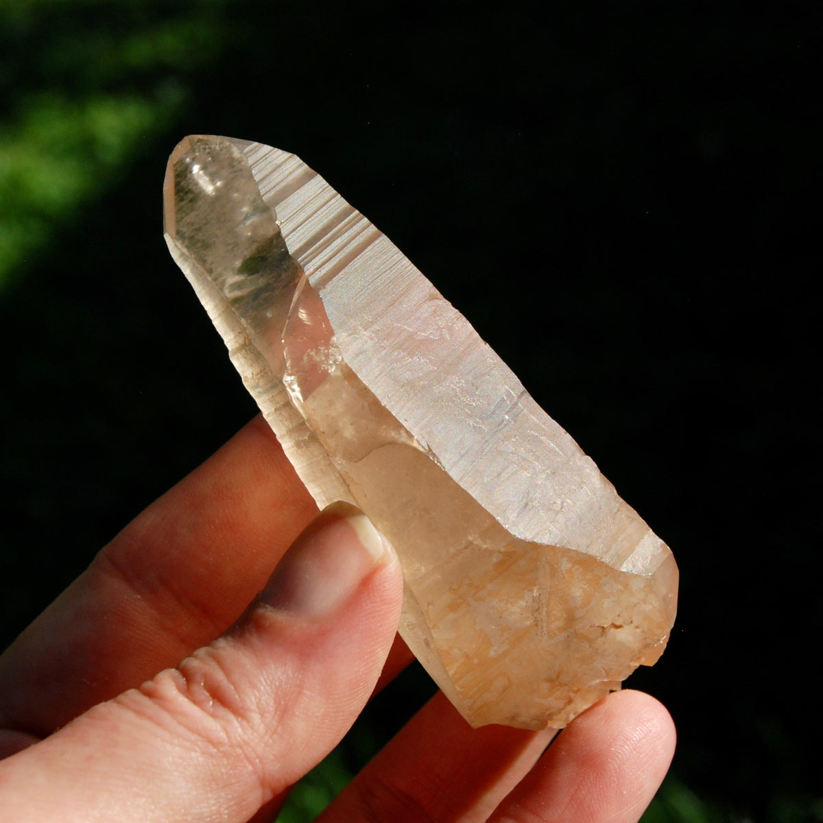 DT ET Trigonic Record Keeper Pink Shadow Smoky Lemurian Seed Quartz Crystal