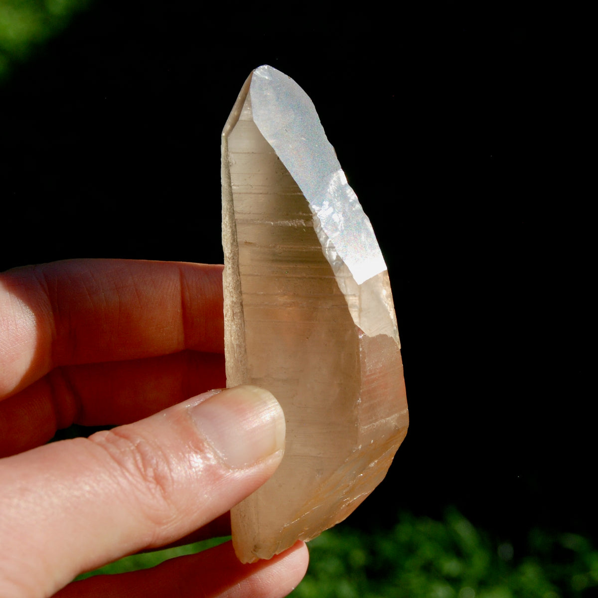 DT ET Trigonic Record Keeper Pink Shadow Smoky Lemurian Seed Quartz Crystal