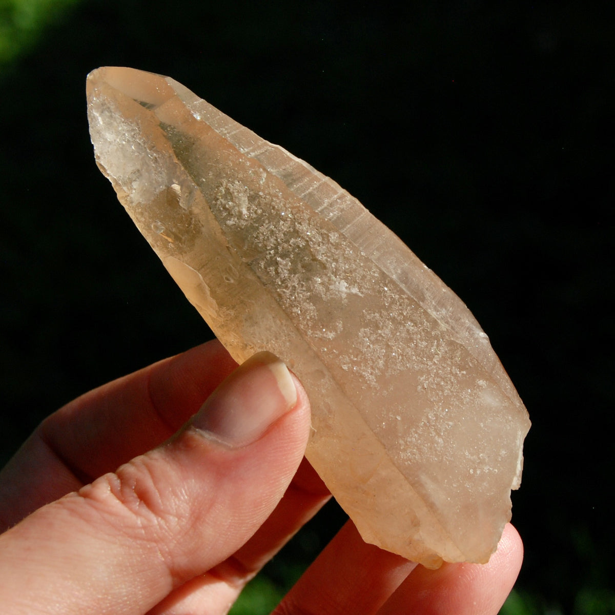 DT ET Trigonic Record Keeper Pink Shadow Smoky Lemurian Seed Quartz Crystal