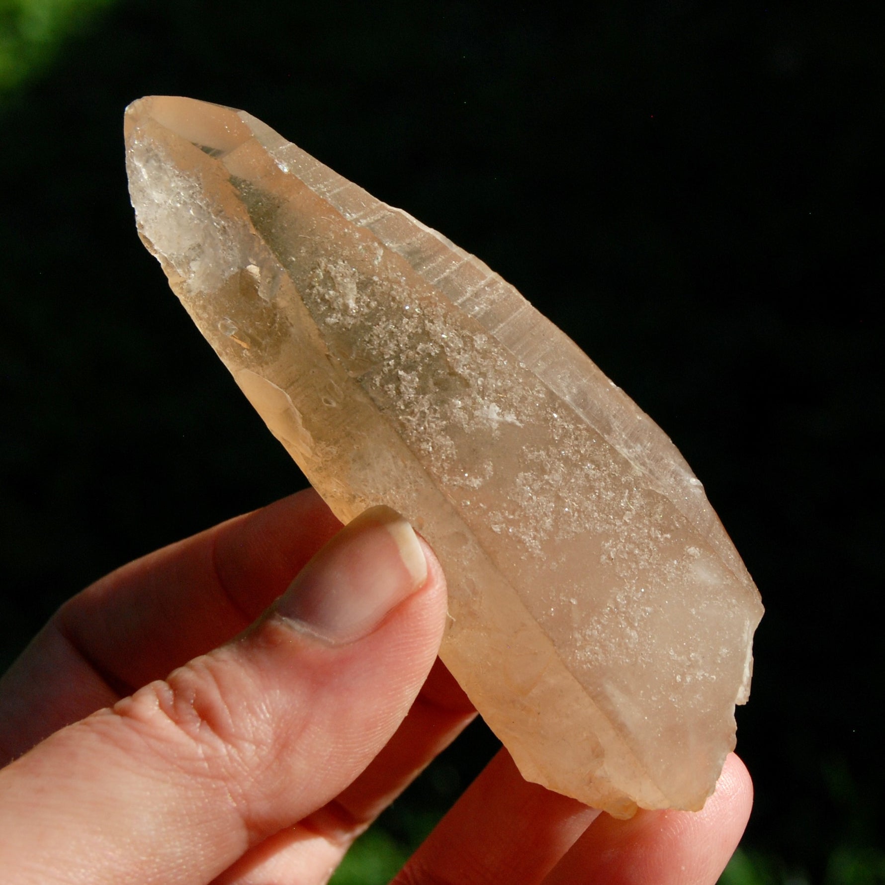 DT ET Trigonic Record Keeper Pink Shadow Smoky Lemurian Seed Quartz Crystal