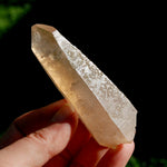 DT ET Trigonic Record Keeper Pink Shadow Smoky Lemurian Seed Quartz Crystal
