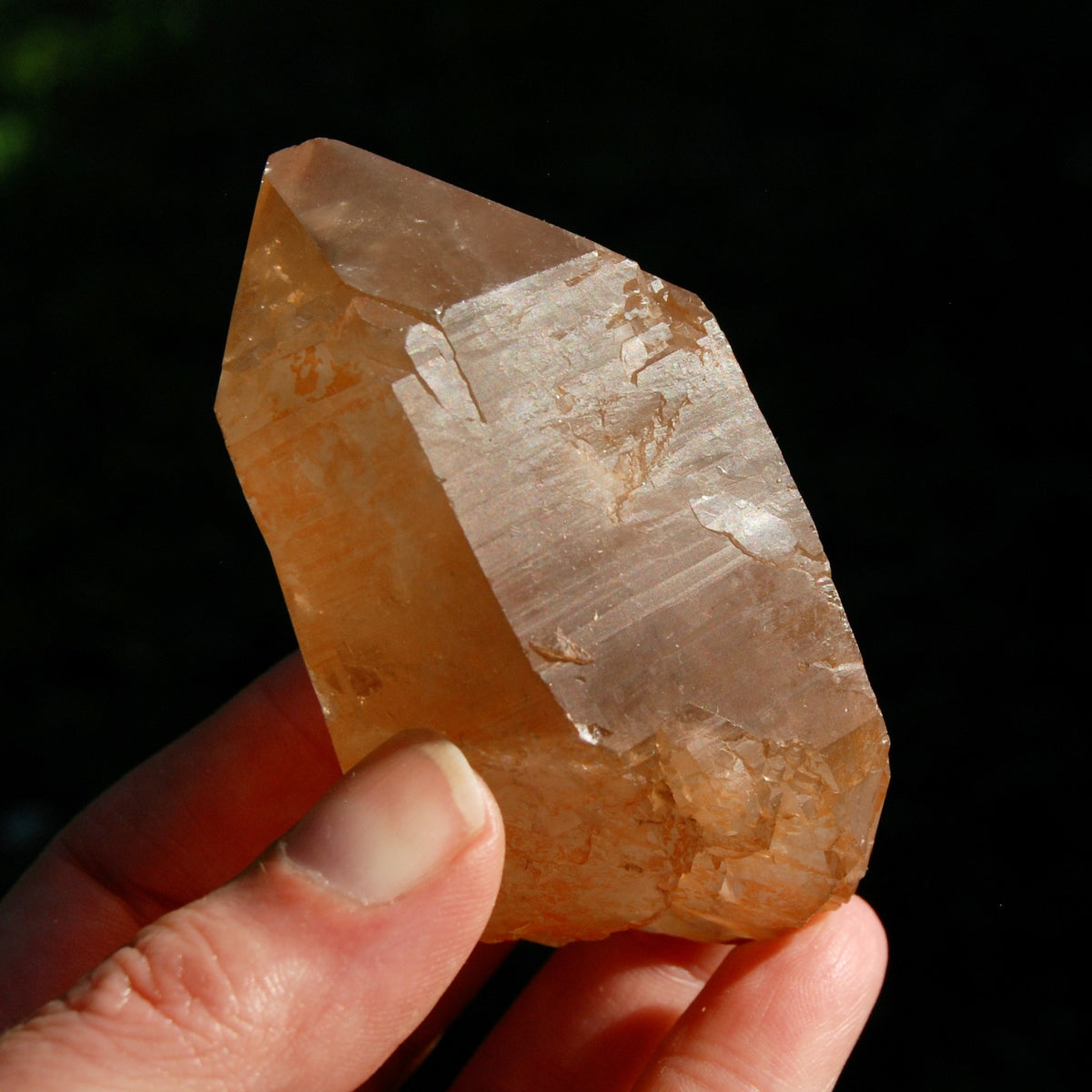 DT ET Record Keeper Pink Shadow Lemurian Seed Quartz Crystal Starbrary