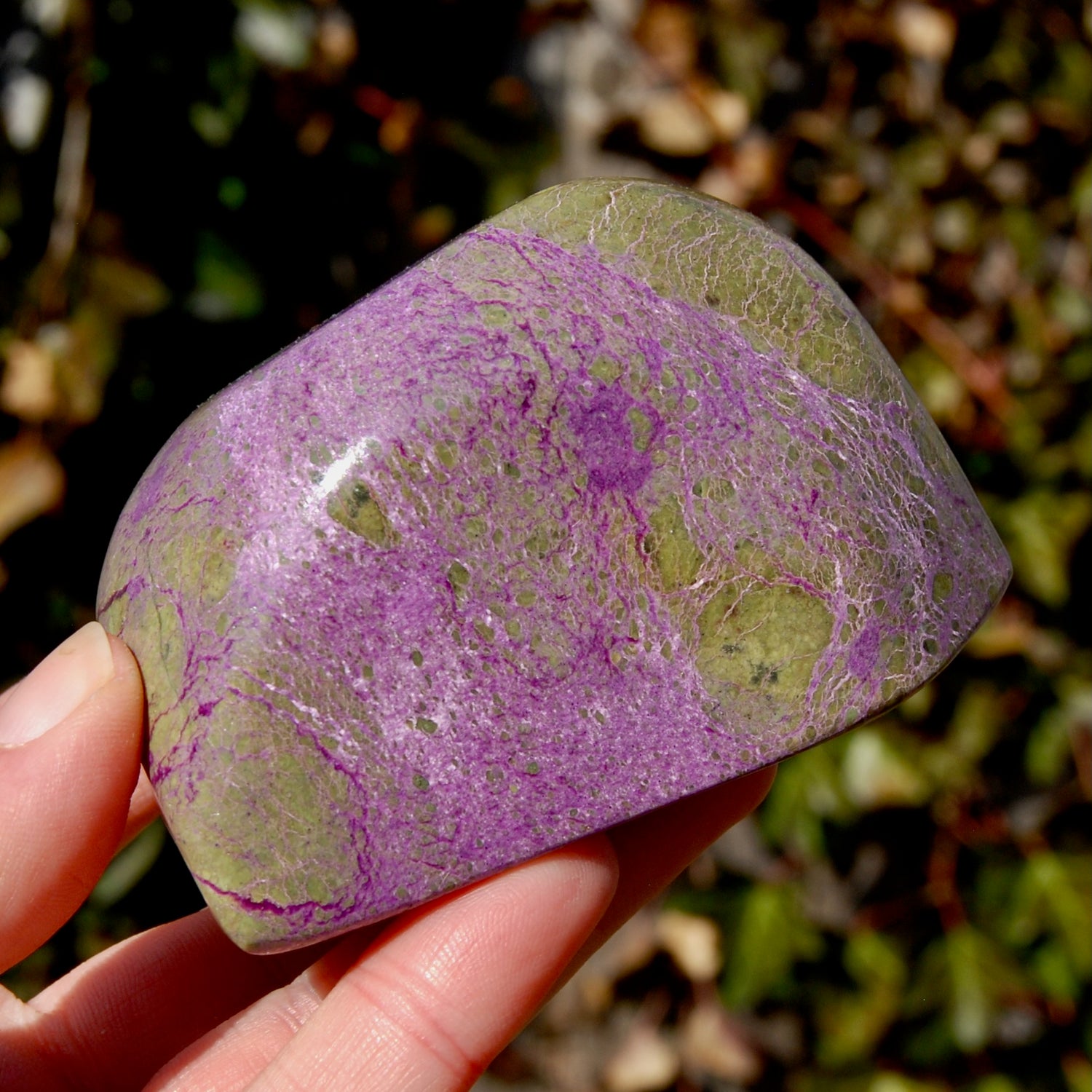 Large Atlantasite Stichtite Serpentine Crystal Freeform