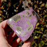 Atlantasite Stichtite Serpentine Crystal