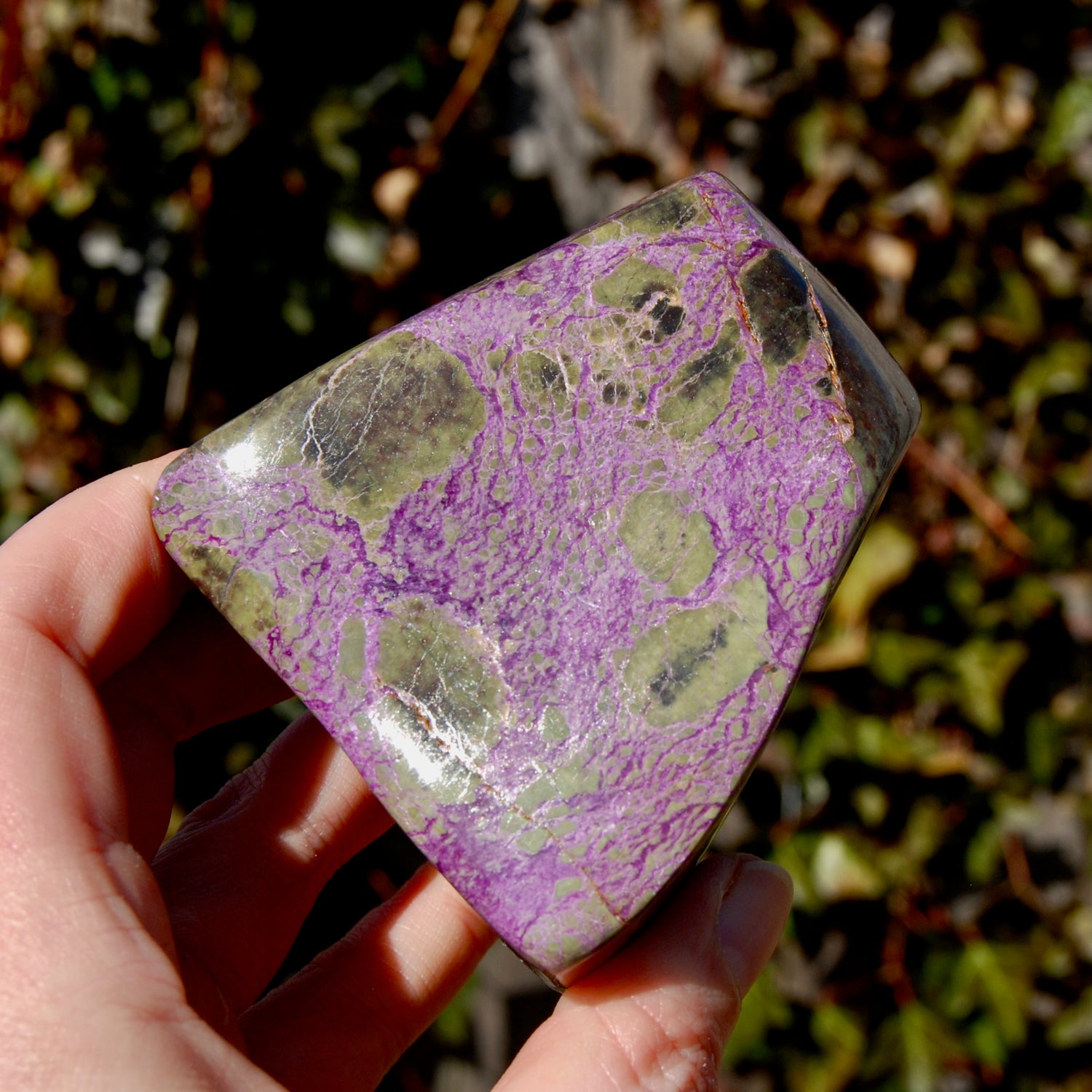 Atlantasite Stichtite Serpentine Crystal