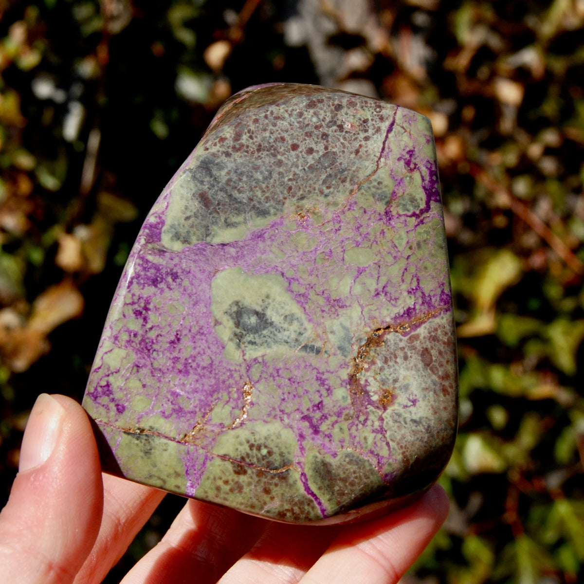 Atlantasite Stichtite Serpentine Crystal