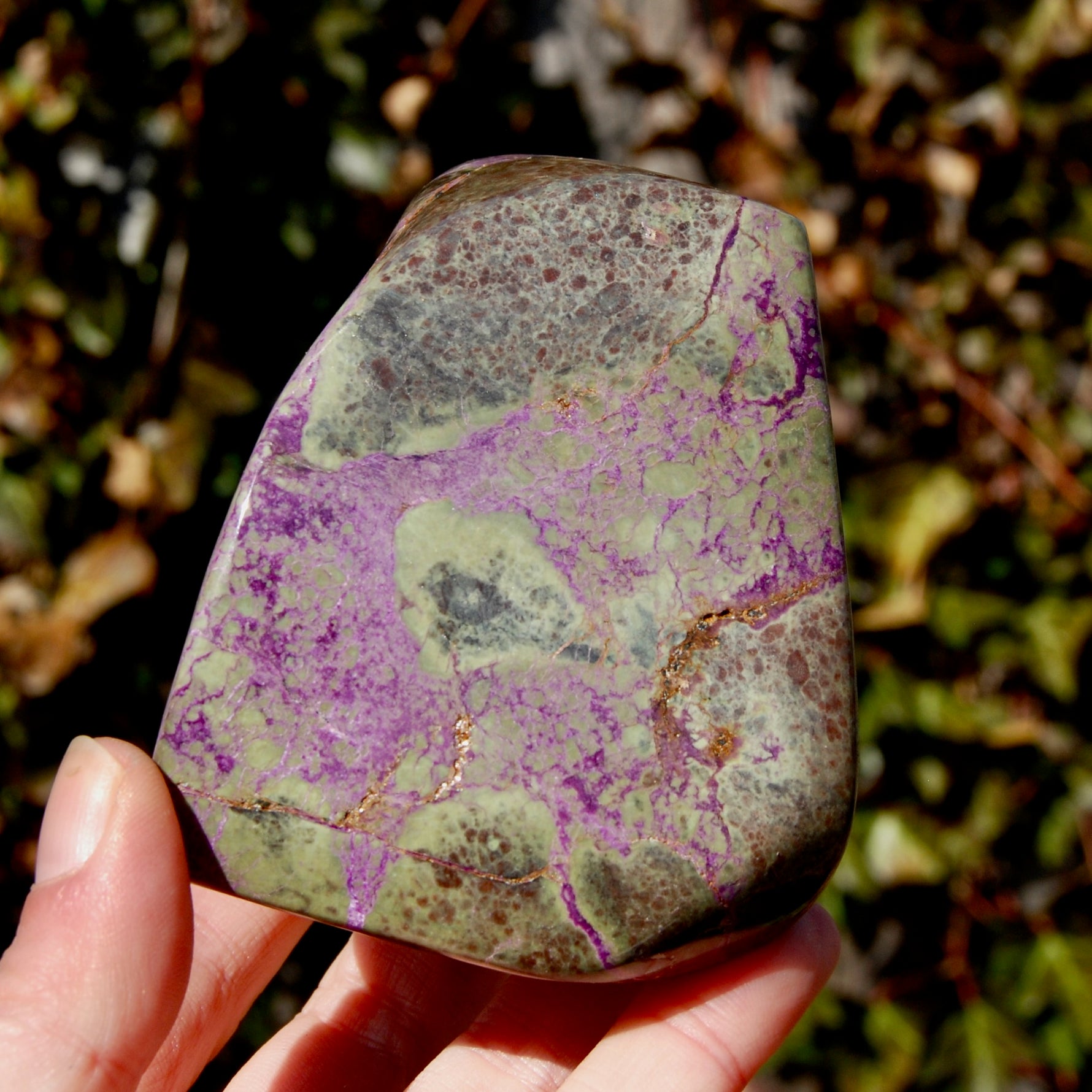 Atlantasite Stichtite Serpentine Crystal
