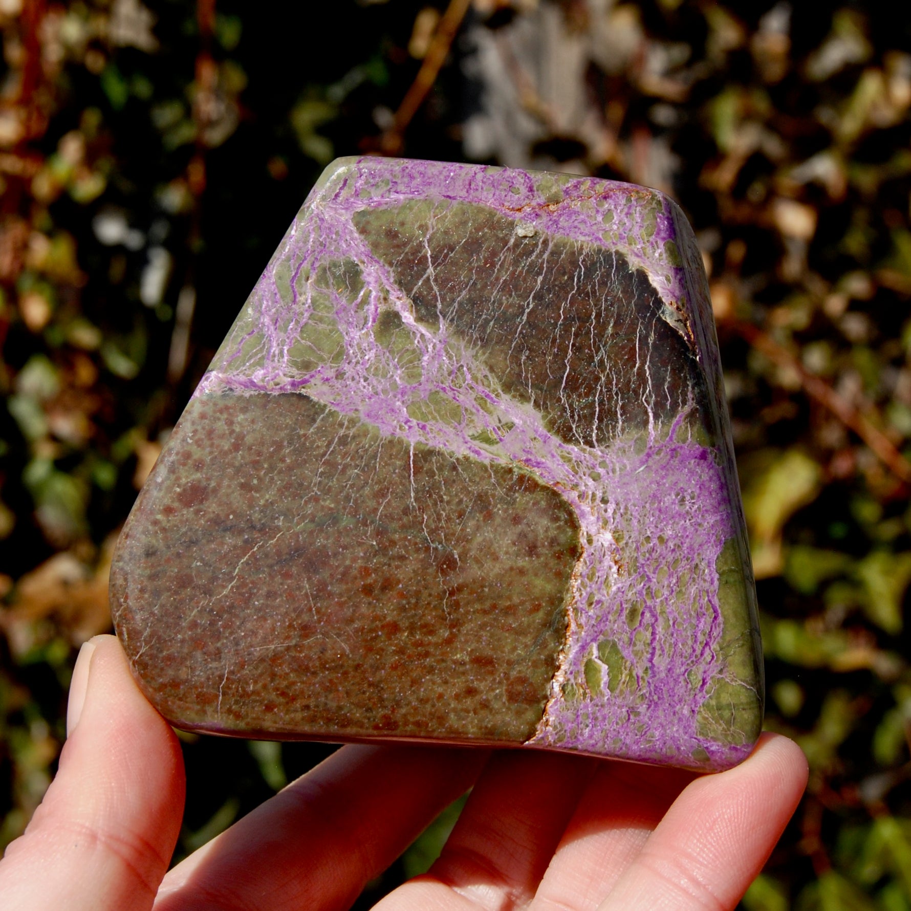 Atlantasite Stichtite Serpentine Crystal