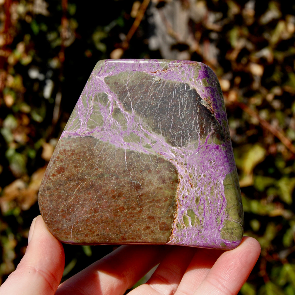 Atlantasite Stichtite Serpentine Crystal
