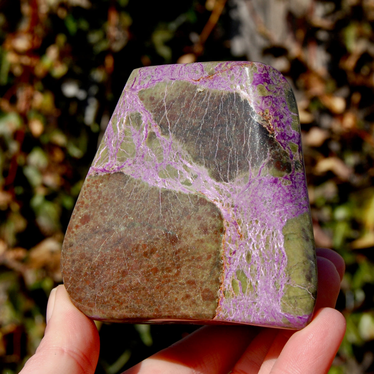 Atlantasite Stichtite Serpentine Crystal