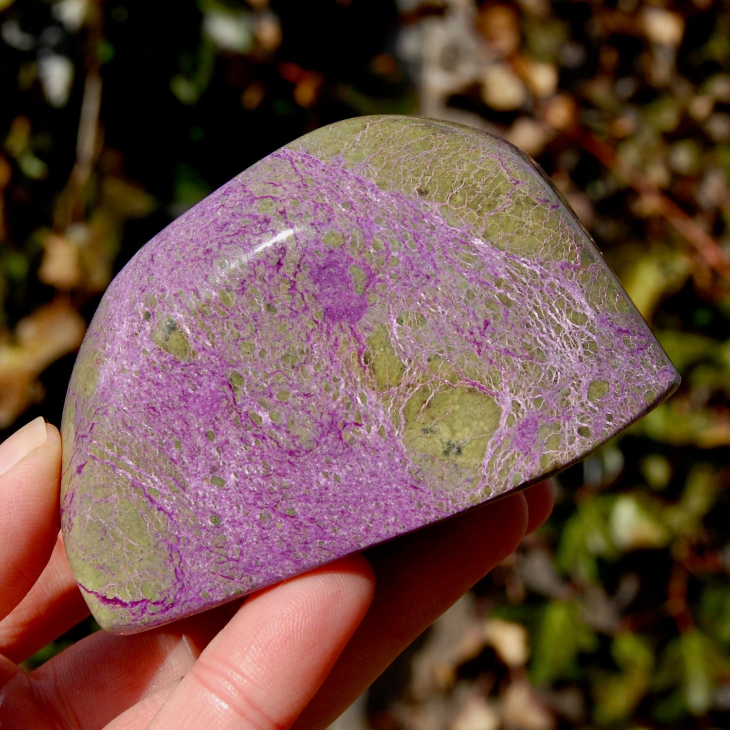 Large Atlantasite Stichtite Serpentine Crystal Freeform