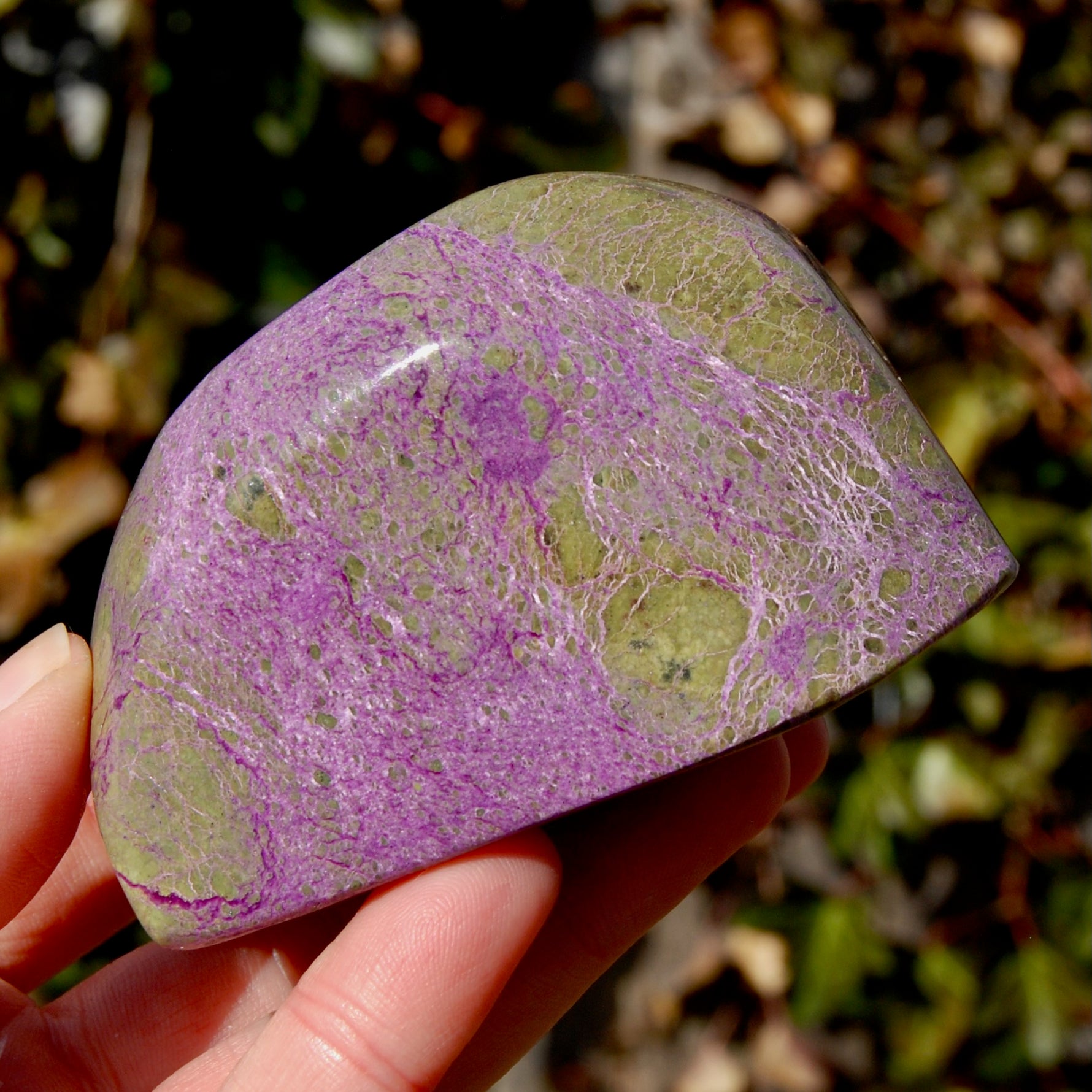 Large Atlantasite Stichtite Serpentine Crystal Freeform