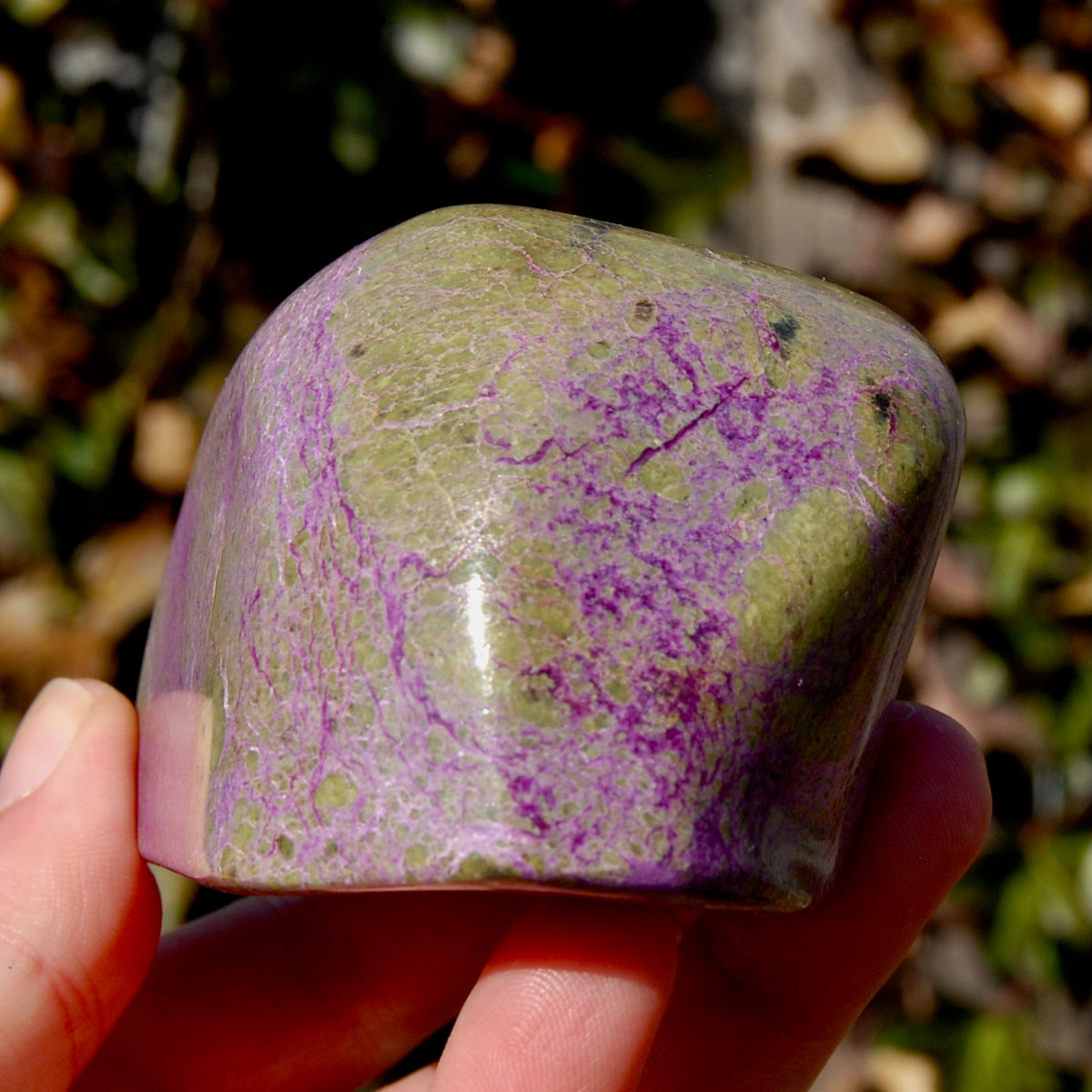 Large Atlantasite Stichtite Serpentine Crystal Freeform