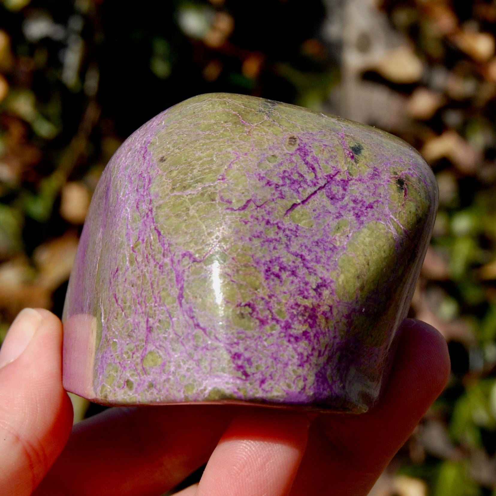 Large Atlantasite Stichtite Serpentine Crystal Freeform