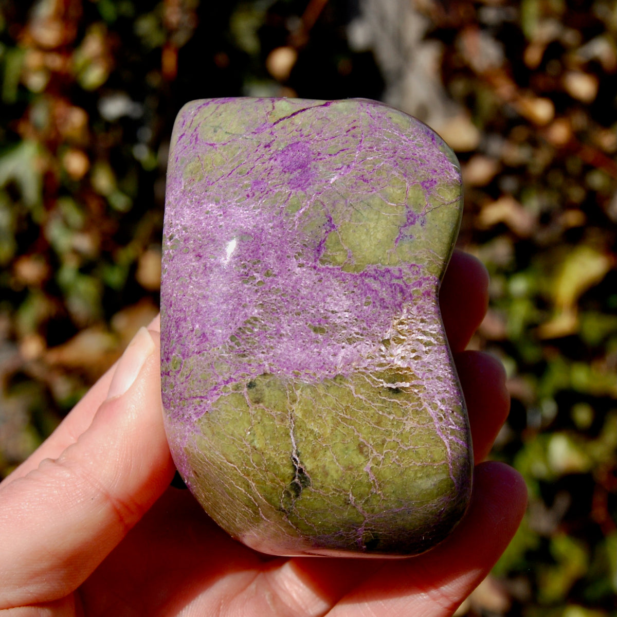 Large Atlantasite Stichtite Serpentine Crystal Freeform