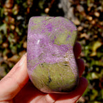 Large Atlantasite Stichtite Serpentine Crystal Freeform