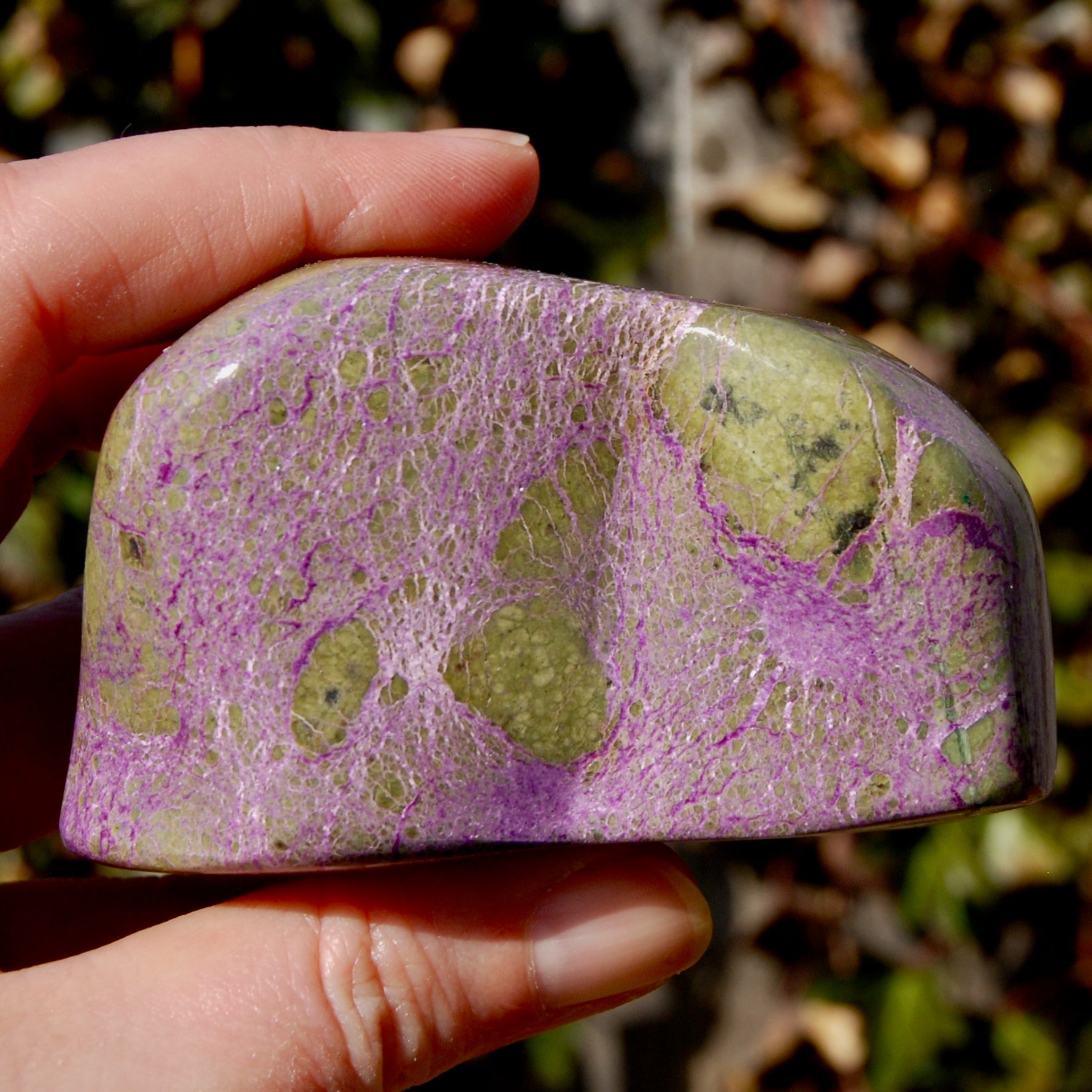 Large Atlantasite Stichtite Serpentine Crystal Freeform