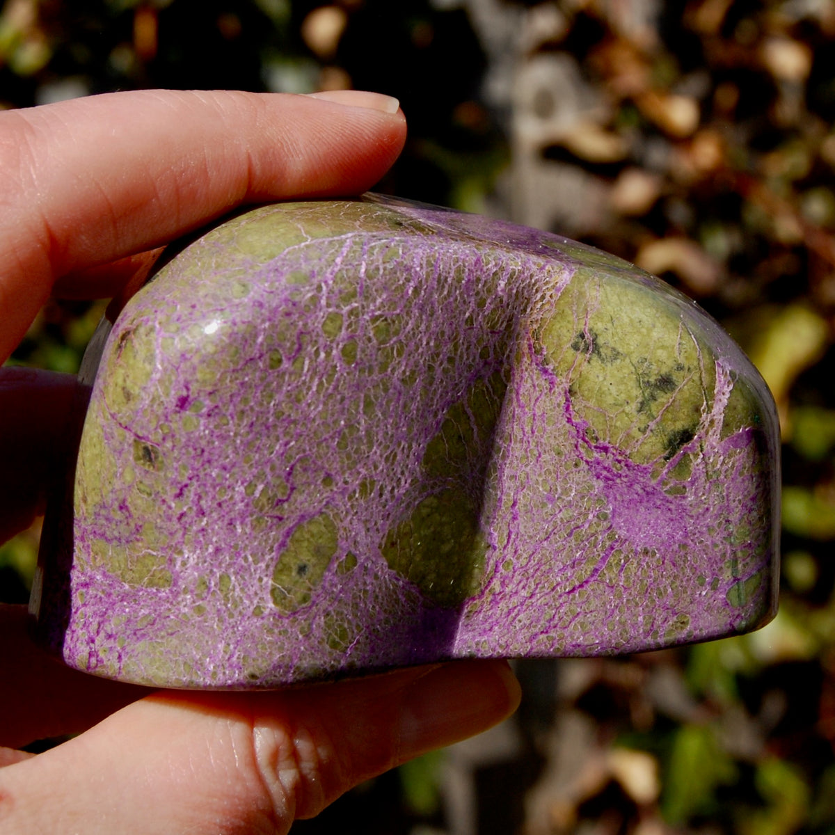 Large Atlantasite Stichtite Serpentine Crystal Freeform