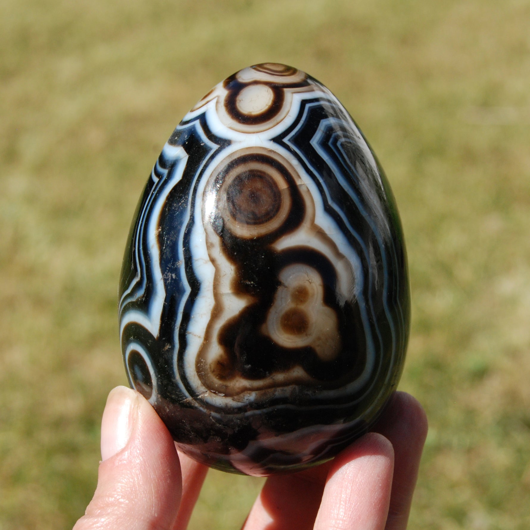 Sardonyx Crystal Egg, Sulemani Agate Egg, Eye of Shiva Egg