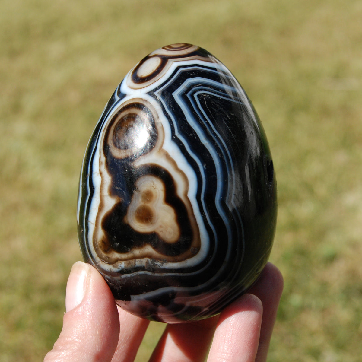 Sardonyx Crystal Egg, Sulemani Agate Egg, Eye of Shiva Egg