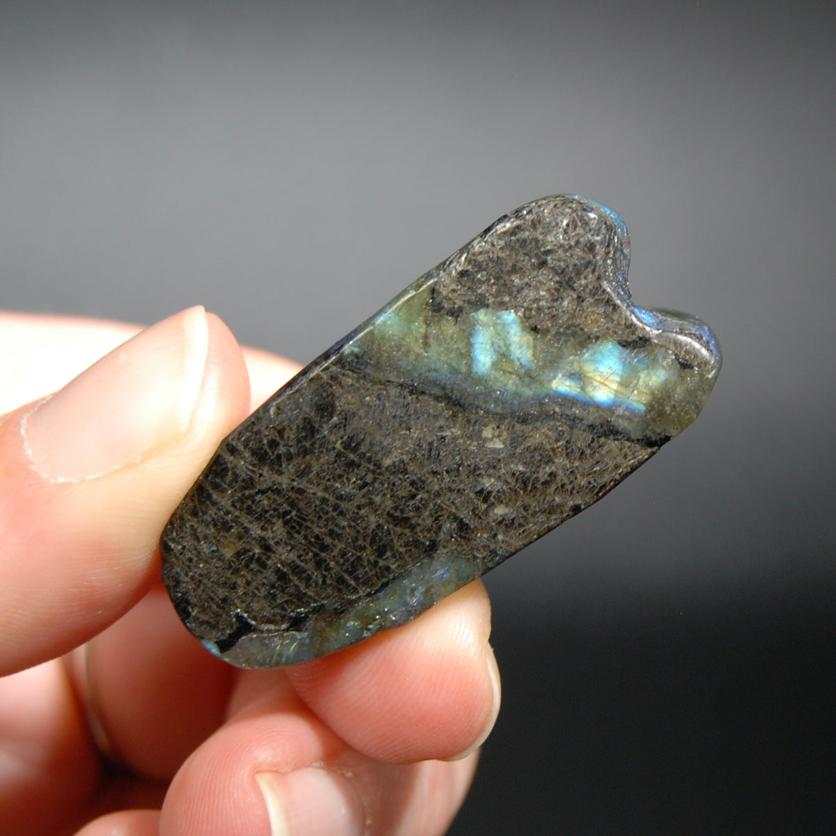 Labradorite Carved Crystal CicadaLabradorite Carved Crystal Cicada