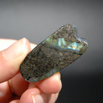 Labradorite Carved Crystal CicadaLabradorite Carved Crystal Cicada