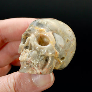 2in Laguna Lace Agate Crystal Skull, Realistic Carved Skull