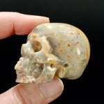 2in Laguna Lace Agate Crystal Skull, Realistic Carved Skull