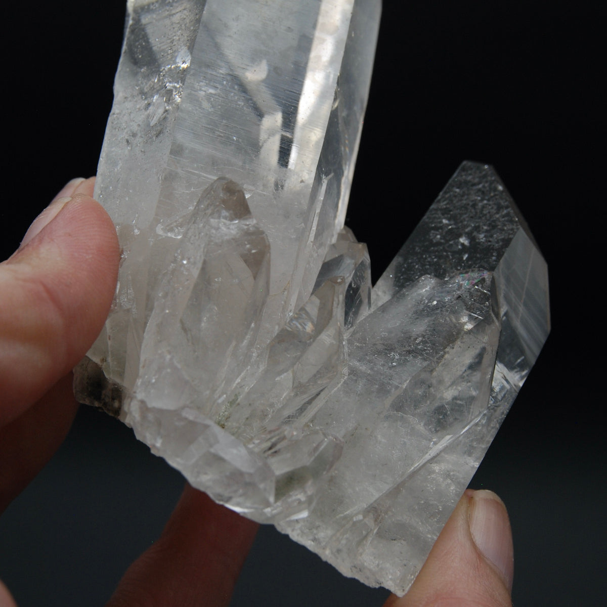 Grounding Cosmic Smoky Lemurian Crystal Cluster, Master Starbrary Corinto Chlorite Quartz, Brazil