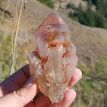 Load image into Gallery viewer, Natural Amethyst Crystal Scepter Elestial

